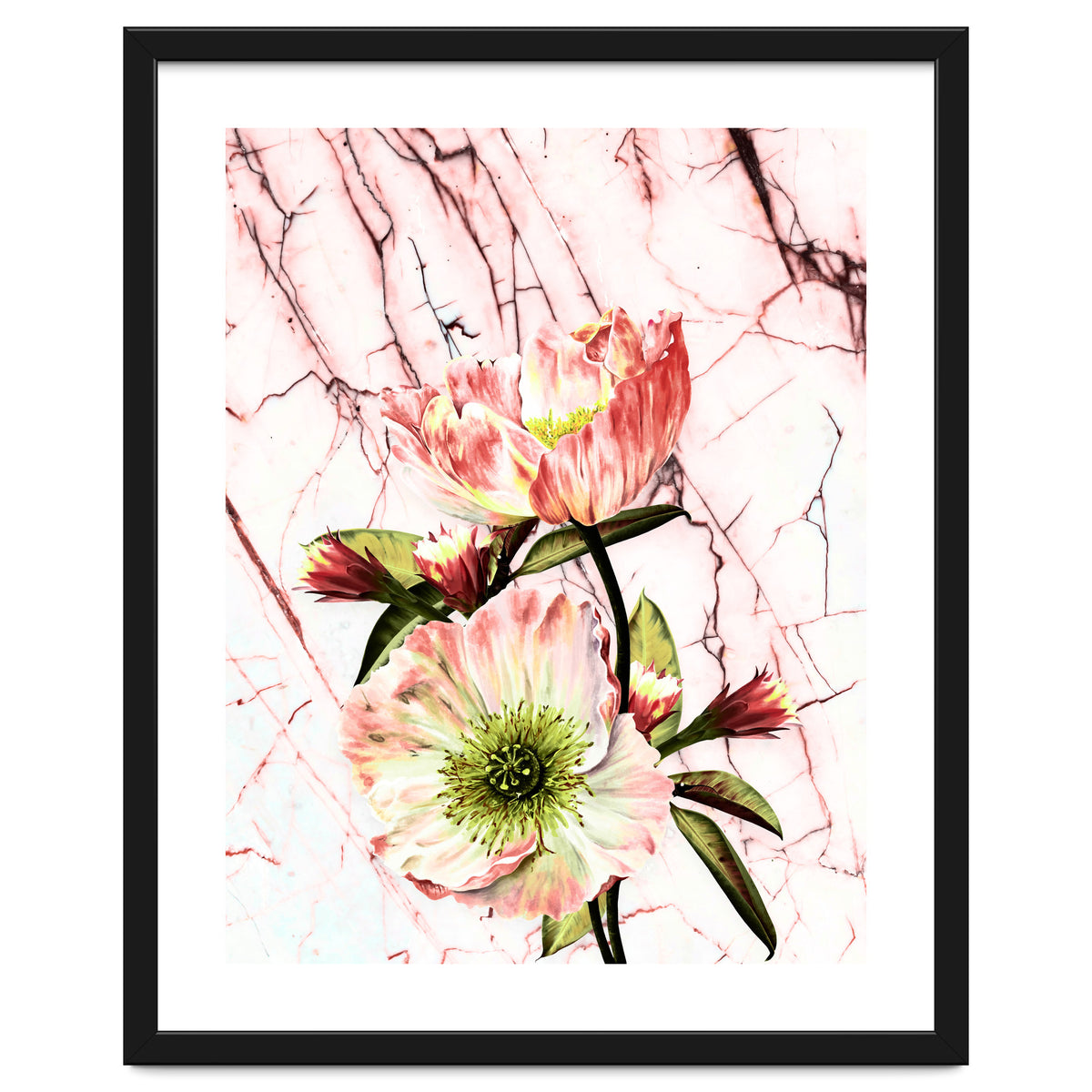 Flowering on pink marble