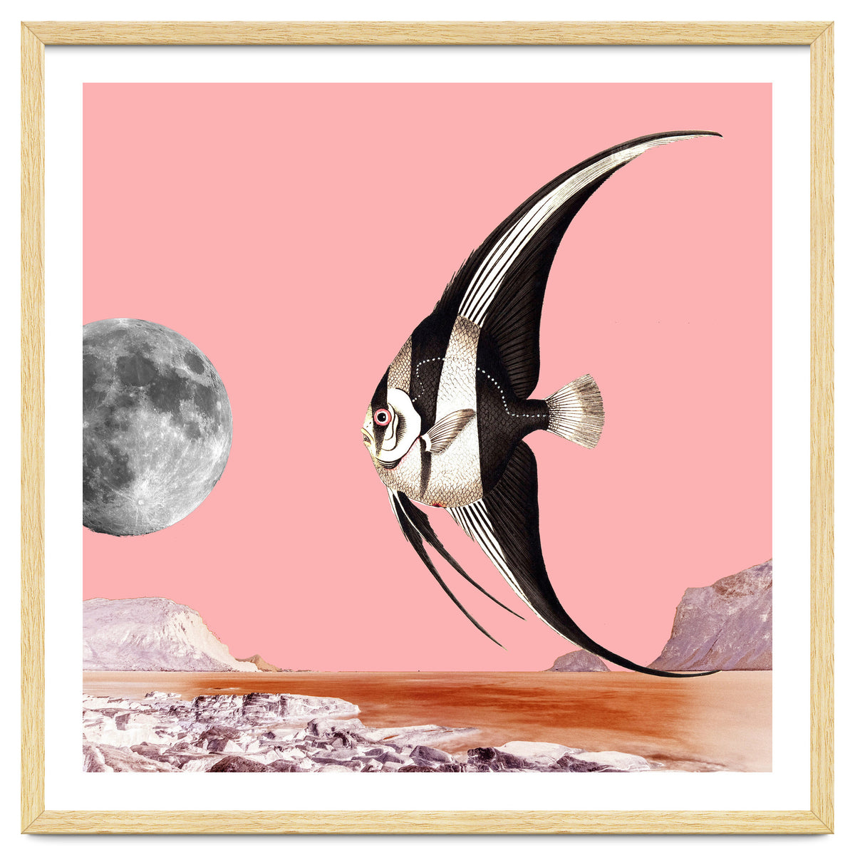 Plenty Of Fish In The Sea Pink