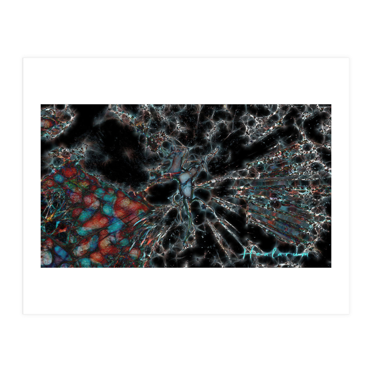 Torn Apart (Print Only)