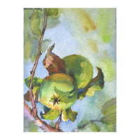 Apples on a branch (Print Only)