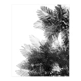 The Tree Top I (Print Only) thumbnail