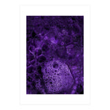 Deep purple (Print Only) thumbnail