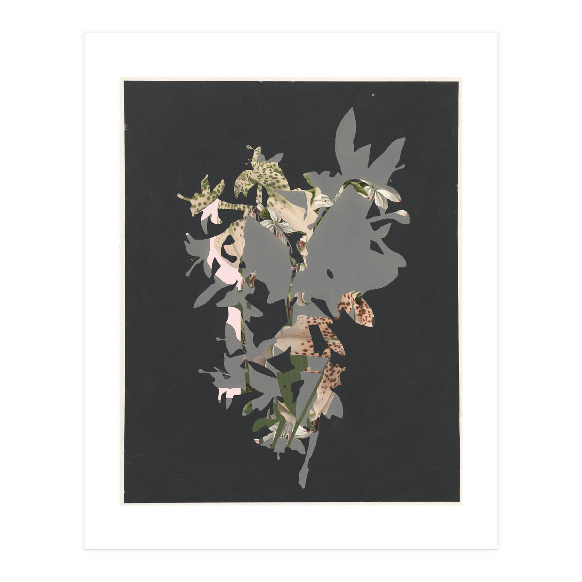 The First Plant · Black (Print Only)