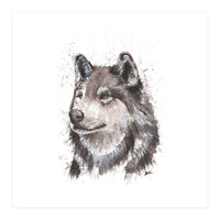 Wolf - Wildlife Collection (Print Only)