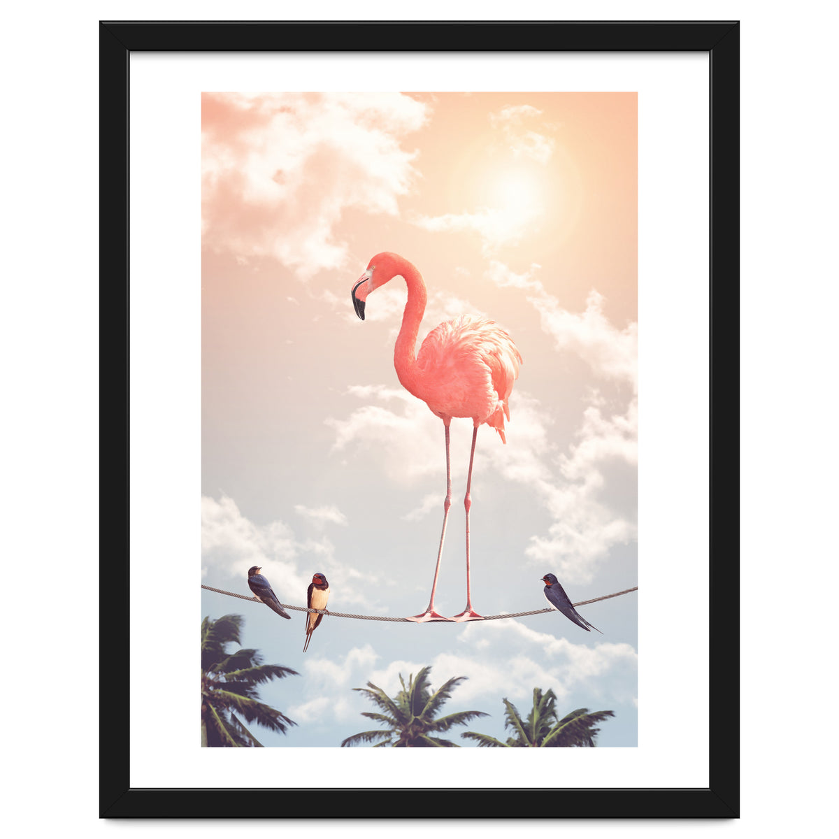 Flamingo & Friends
