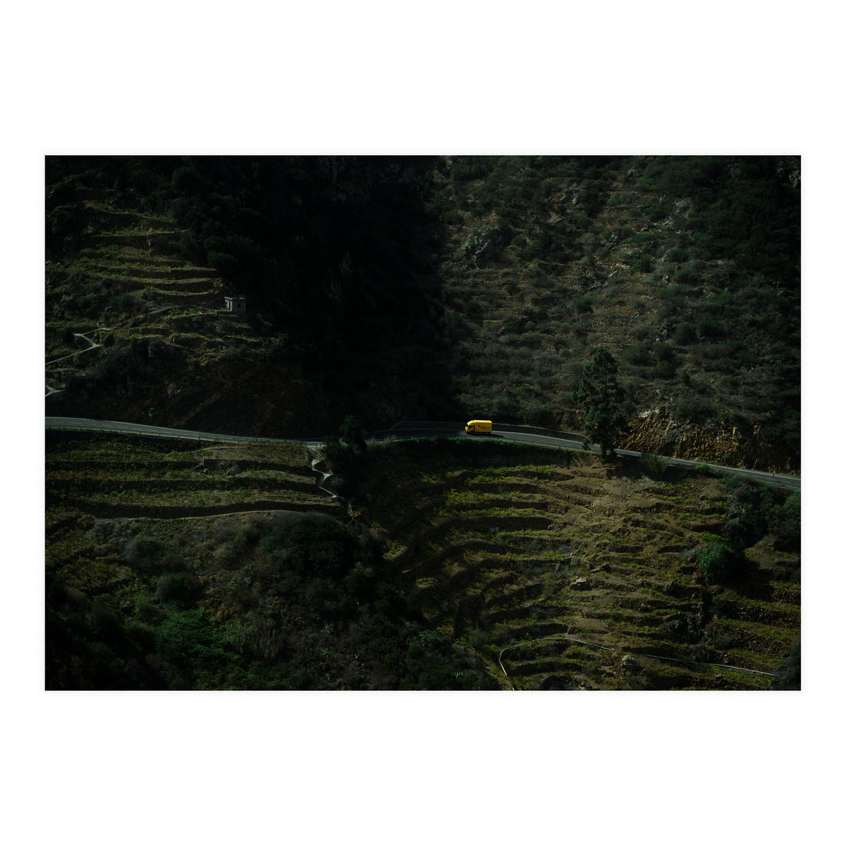 Deliveries (Print Only)