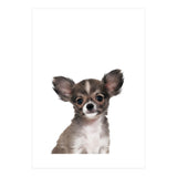 Chihuahua (Print Only) thumbnail
