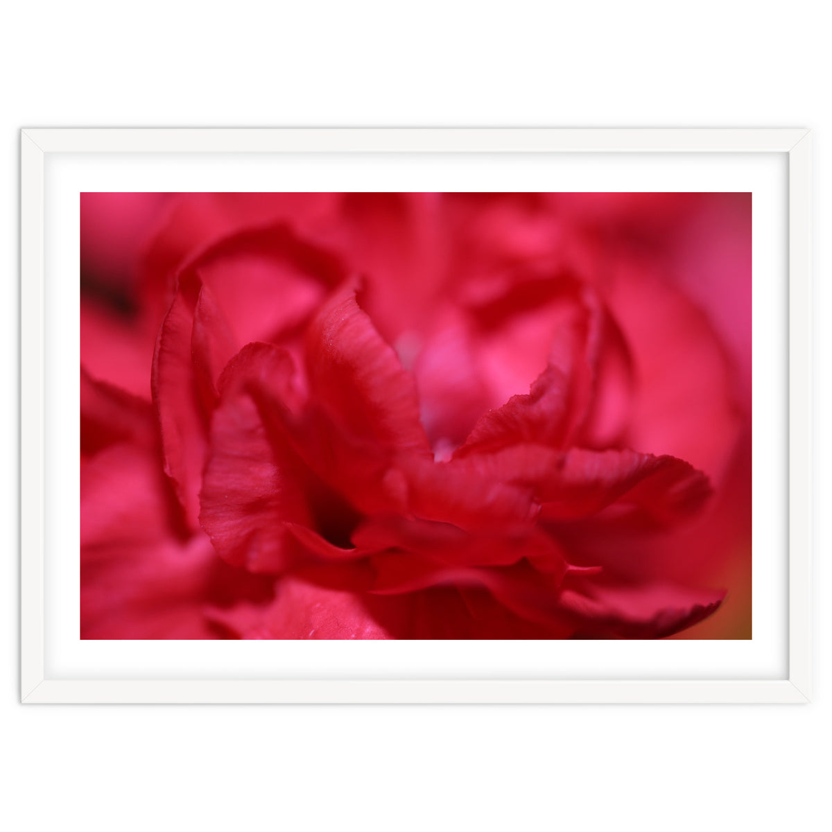 Red Peony
