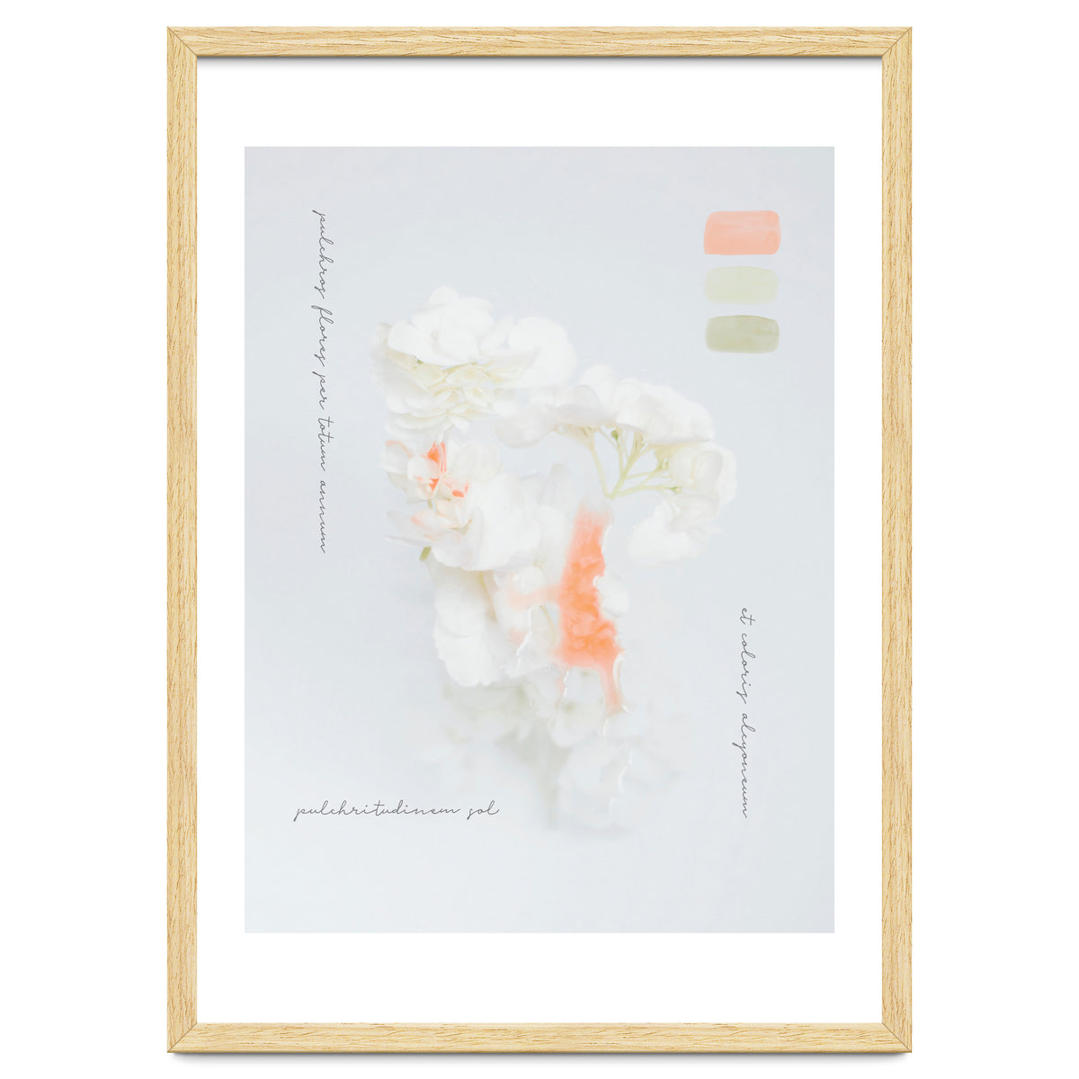 Modern Vintage Botanic