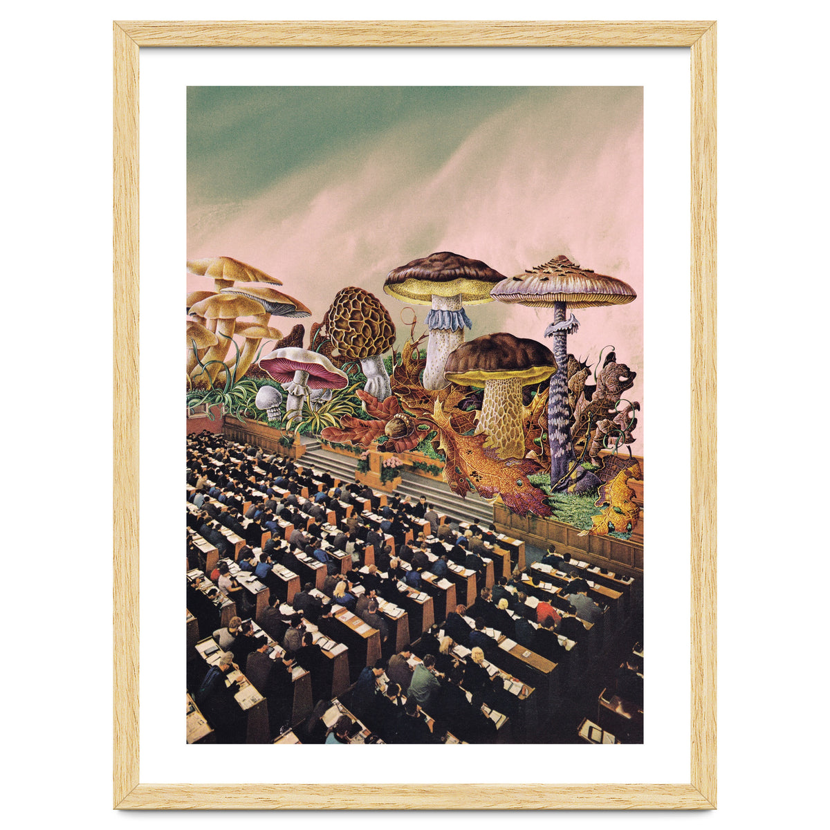 Psychedelic Experience