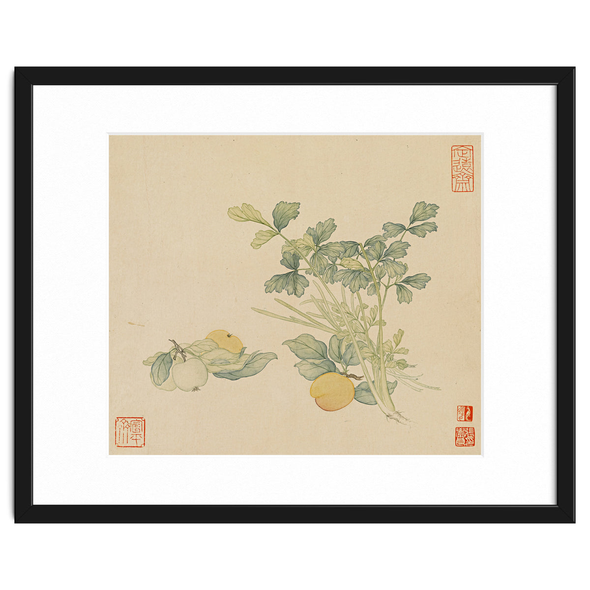 Wang Chengyu~flowers And Vegetables, Vegetables, Fruits, Plums, Apricots, Celery