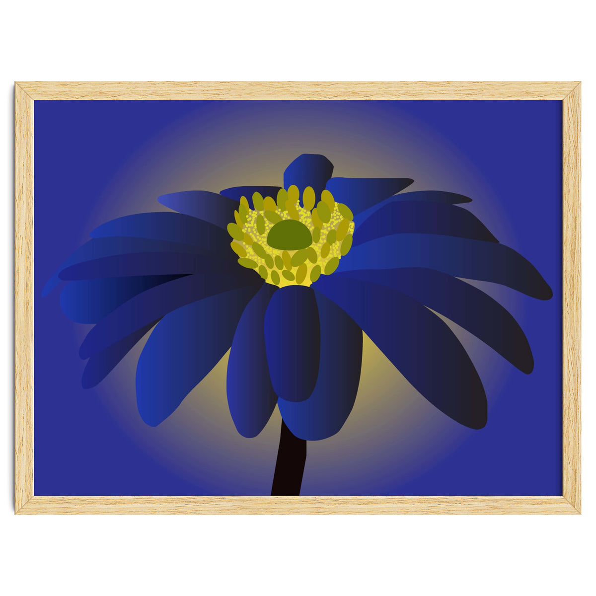 Anemone Blanda Flower Art