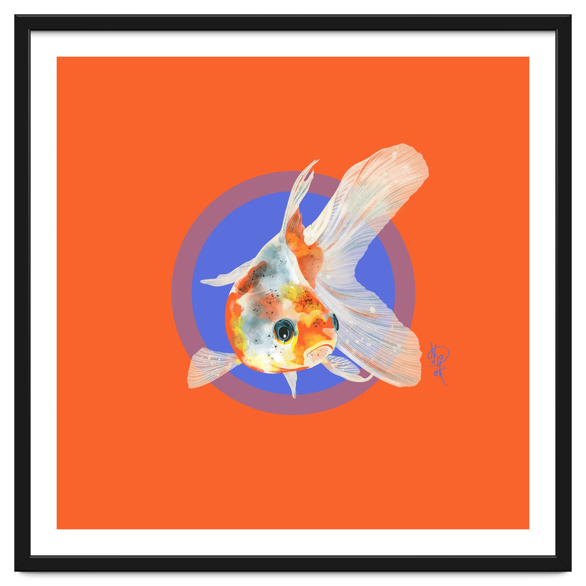 Koi Carp