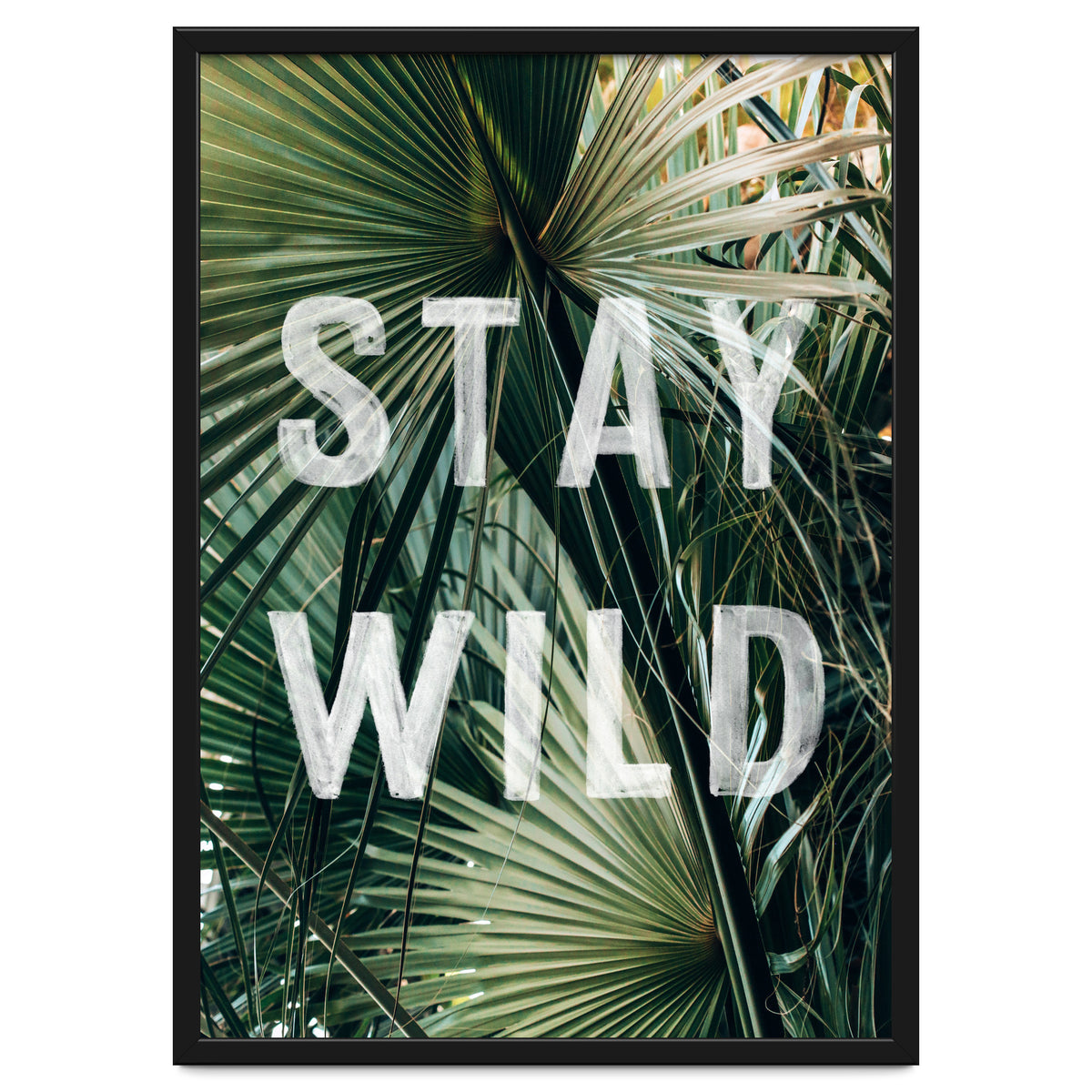 Stay Wild
