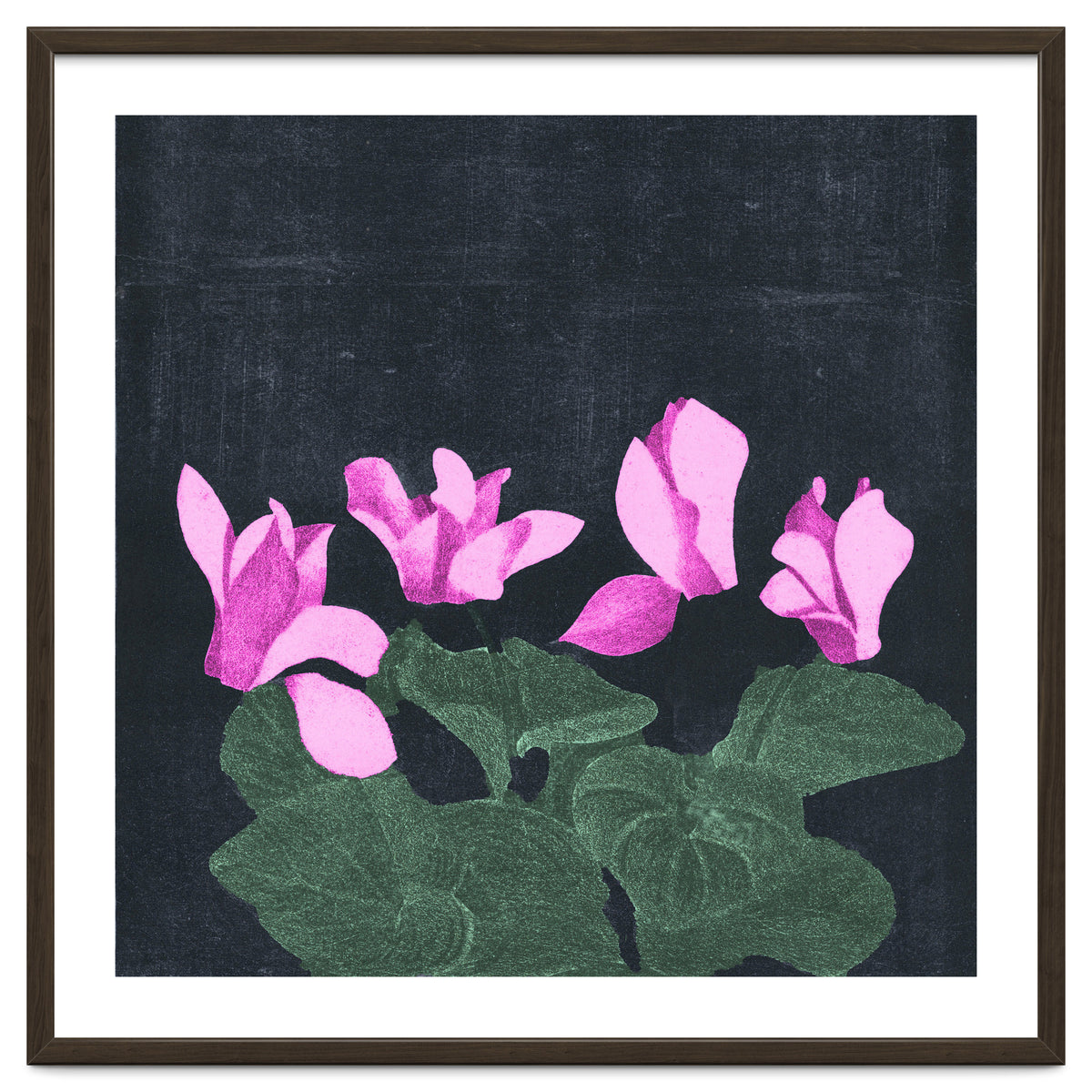 Cyclamen