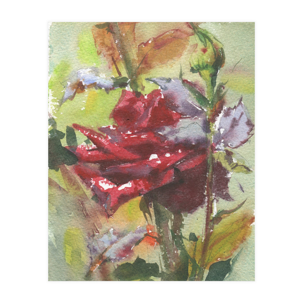 Spice Rose watercolor painting (Print Only)