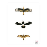 Falconidae n.2 (Print Only) thumbnail