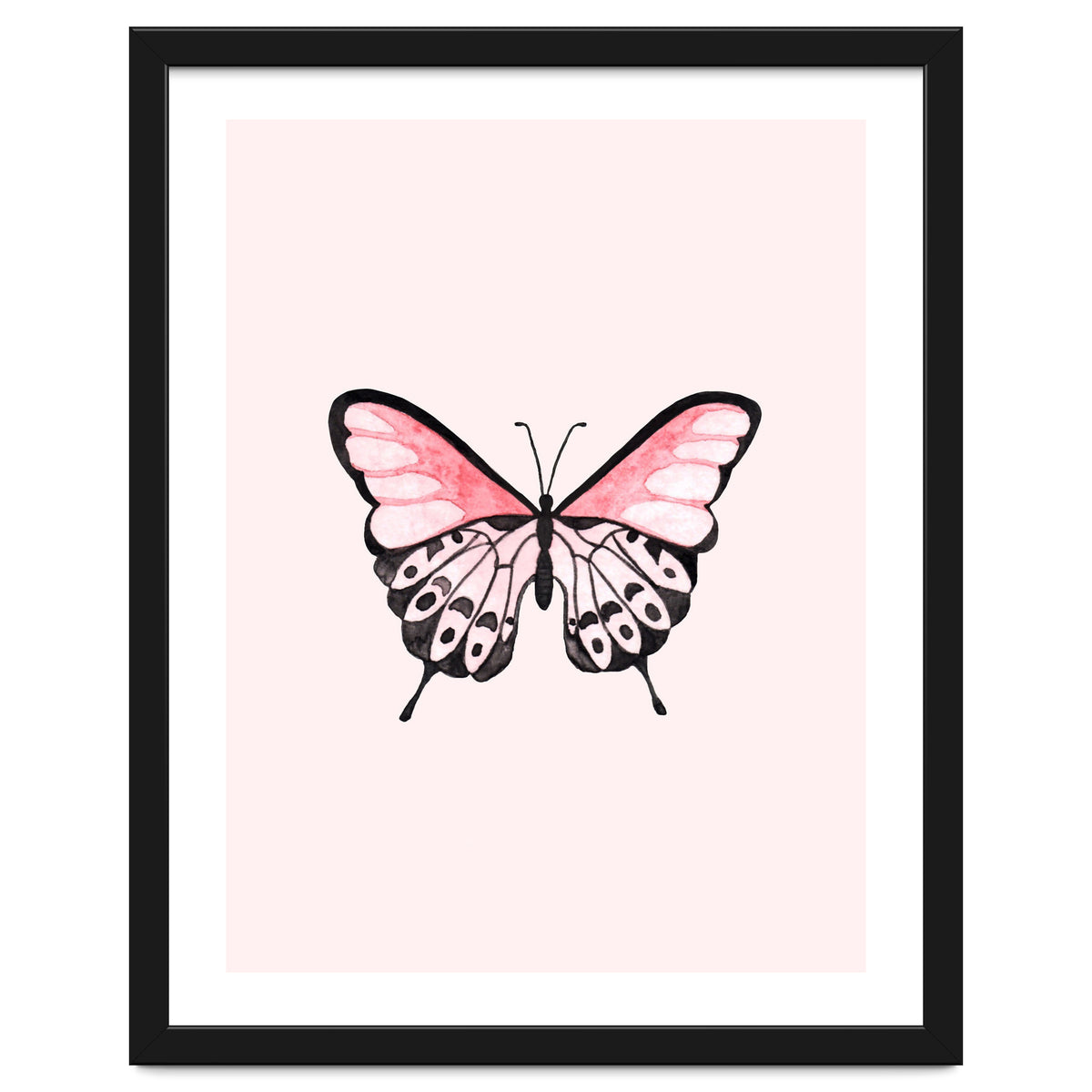 Pink Butterfly