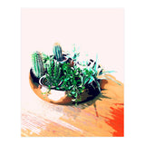 Cacti In A Copper Pot (Print Only) thumbnail