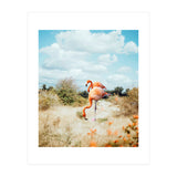 Flamingo Couple (Print Only) thumbnail