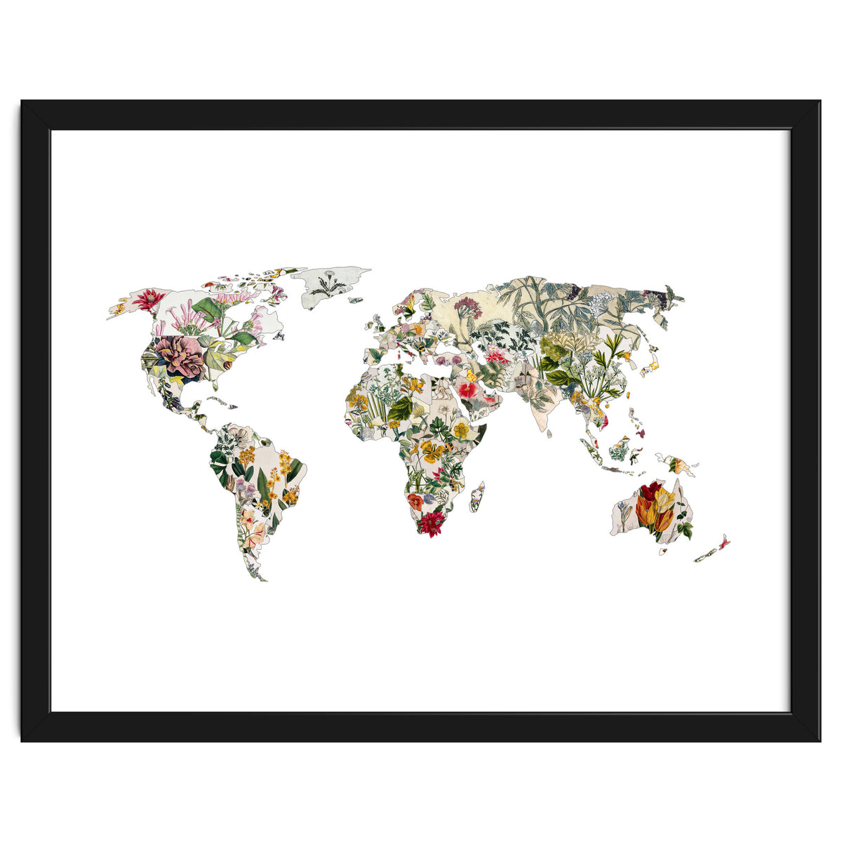 Vintage Botanical Map