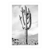 Loner (Print Only) thumbnail