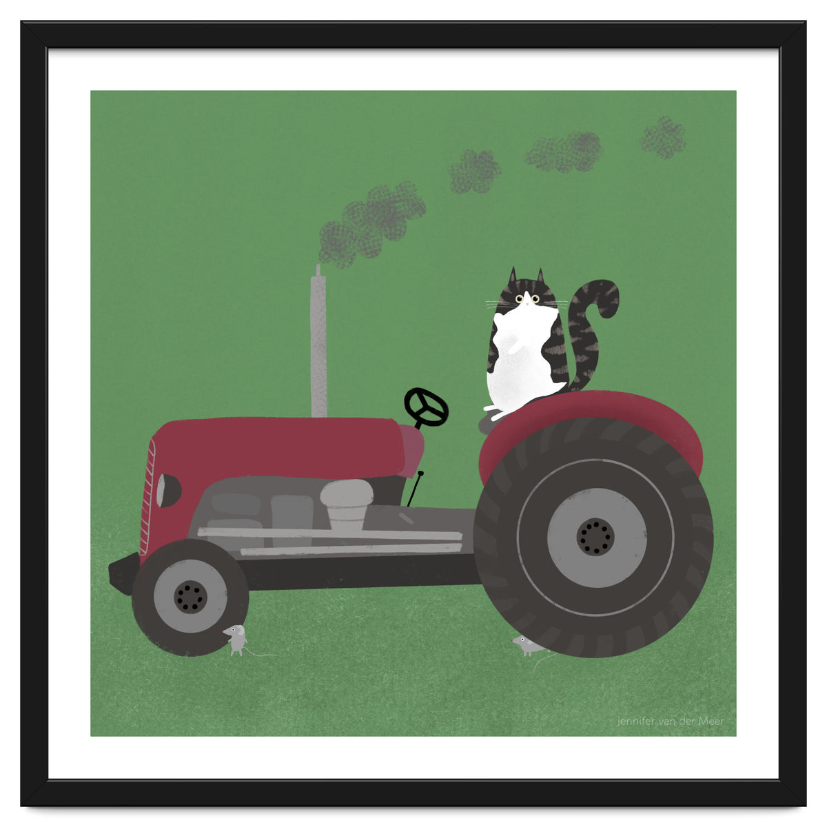 Cat 84: The farm cat