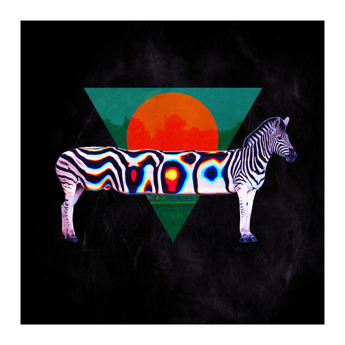 Zebra (Print Only)