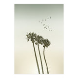 Vintage palm trees at sunset (Print Only) thumbnail