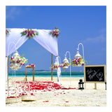 Beach (Print Only) thumbnail