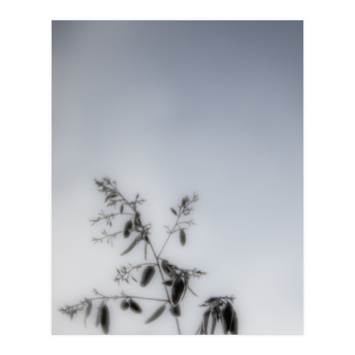 Forgotten Memories of Summer #17 (Print Only)