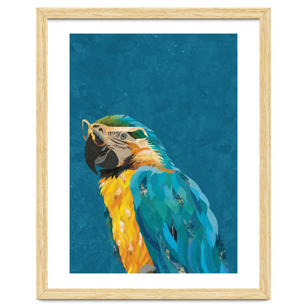Macaw Portrait Blue Gold Glasses