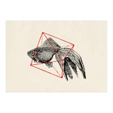 Fish In Geometrics III (Print Only) thumbnail