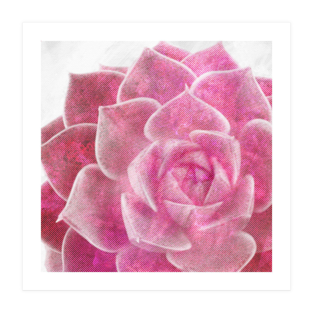 Rough Beauty 4 (Print Only)