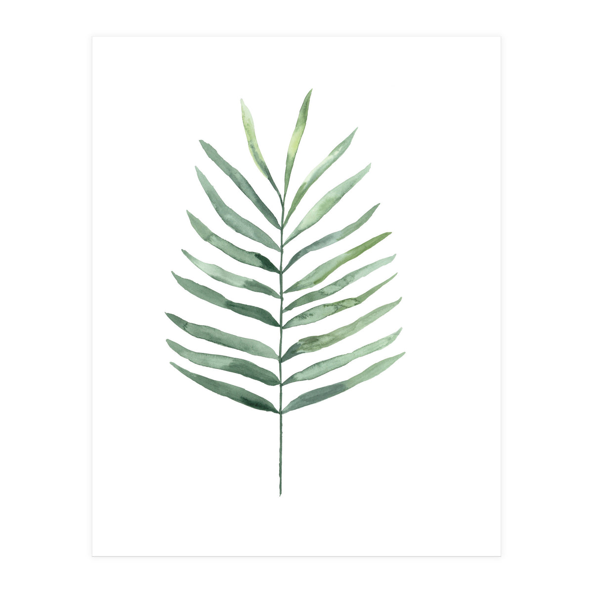 Botanical Illustration Fern (Print Only)