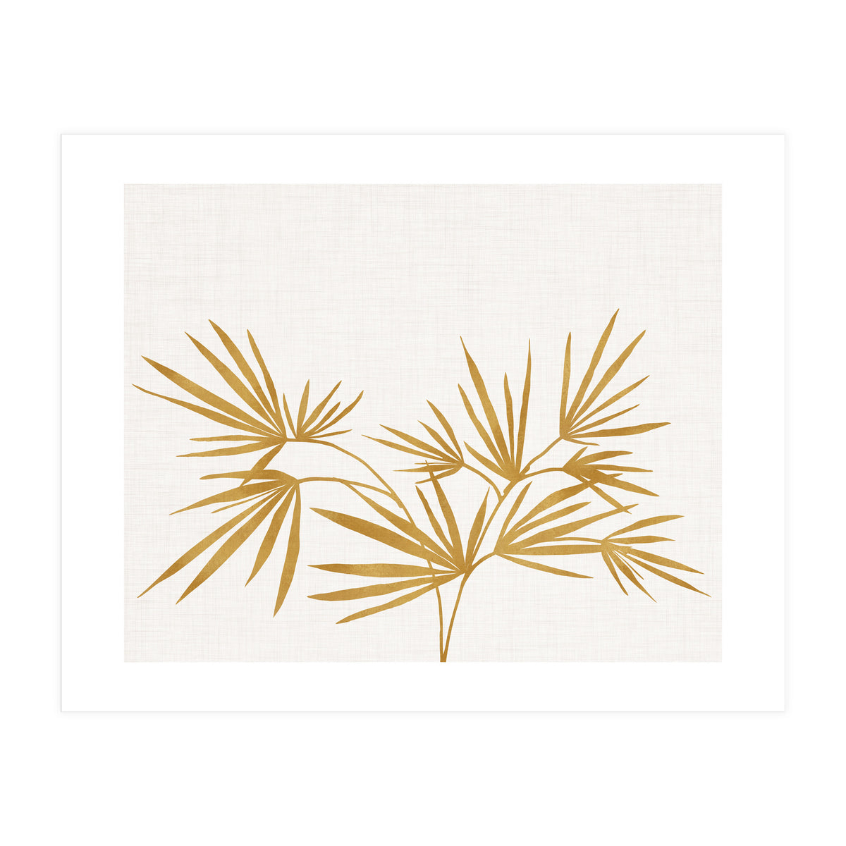 Golden Fan Palm (Print Only)