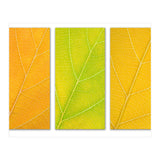 Autumn Leaves (Print Only) thumbnail