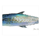 Fish Sierra (Print Only) thumbnail