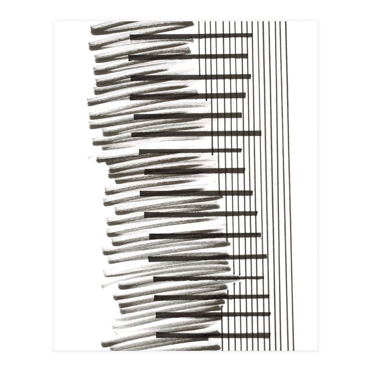 Typos 3.6 (Print Only)