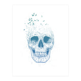Let Them Fly Ii (Print Only) thumbnail