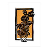 Fiddle Leaf Fig Clean + Sunlight (Print Only) thumbnail