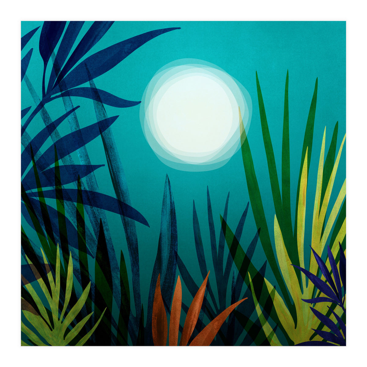 Midnight In The Jungle (Print Only)