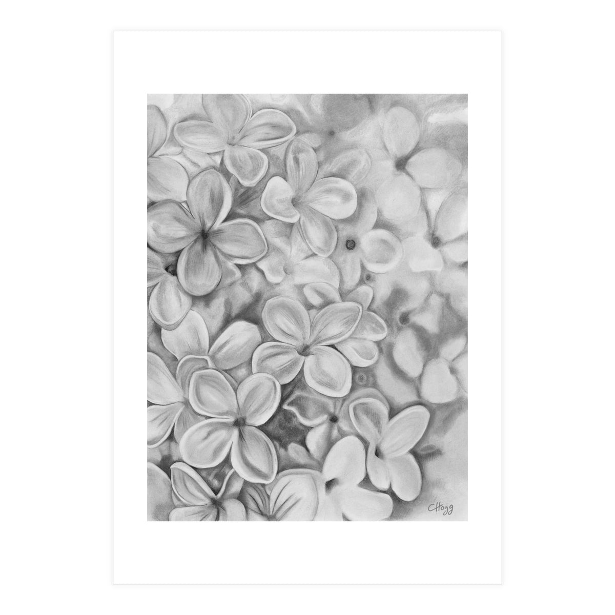 The Essence Of Spring in Monochrome (Print Only)