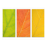 Autumn Leaves (Print Only) thumbnail