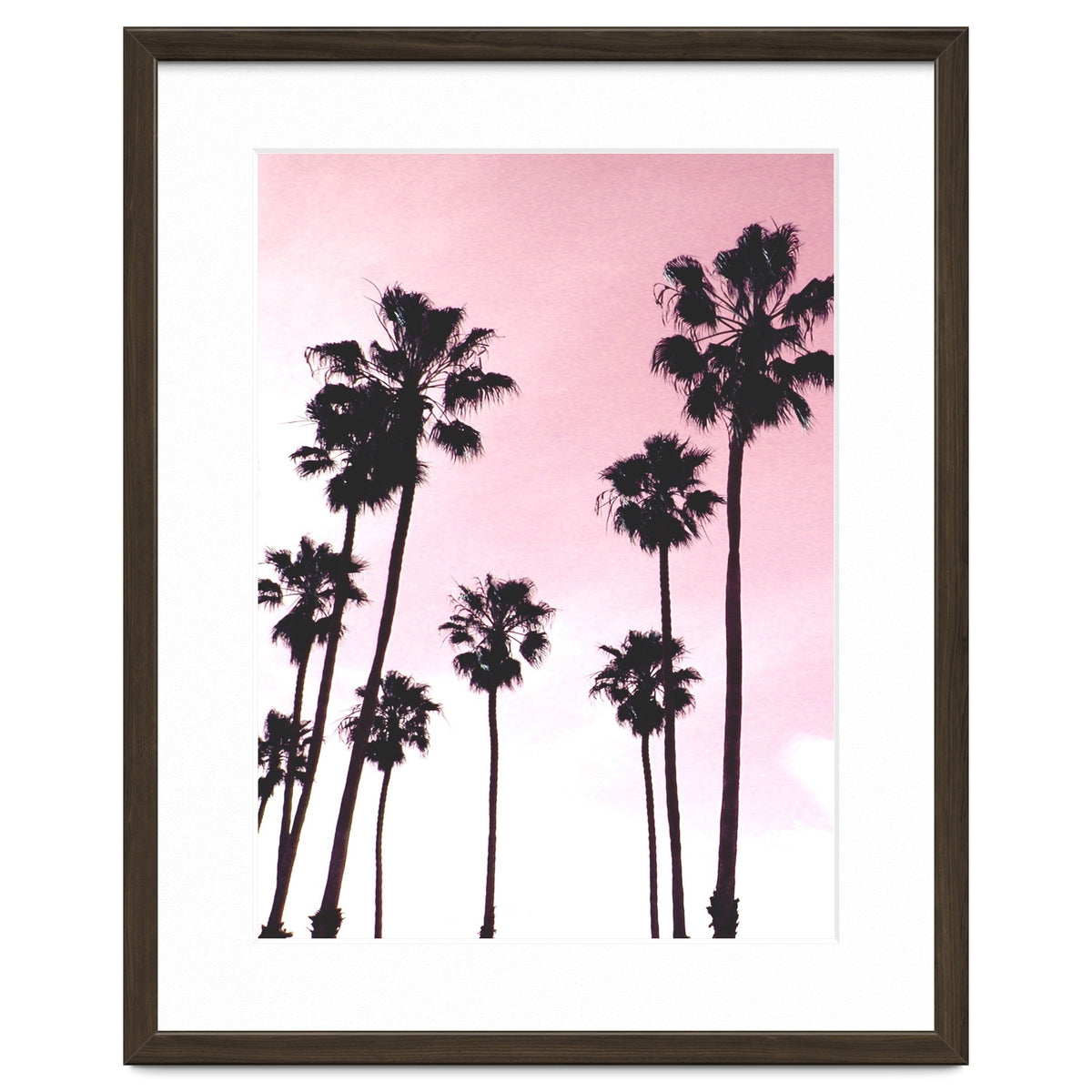 Palms & Sunset