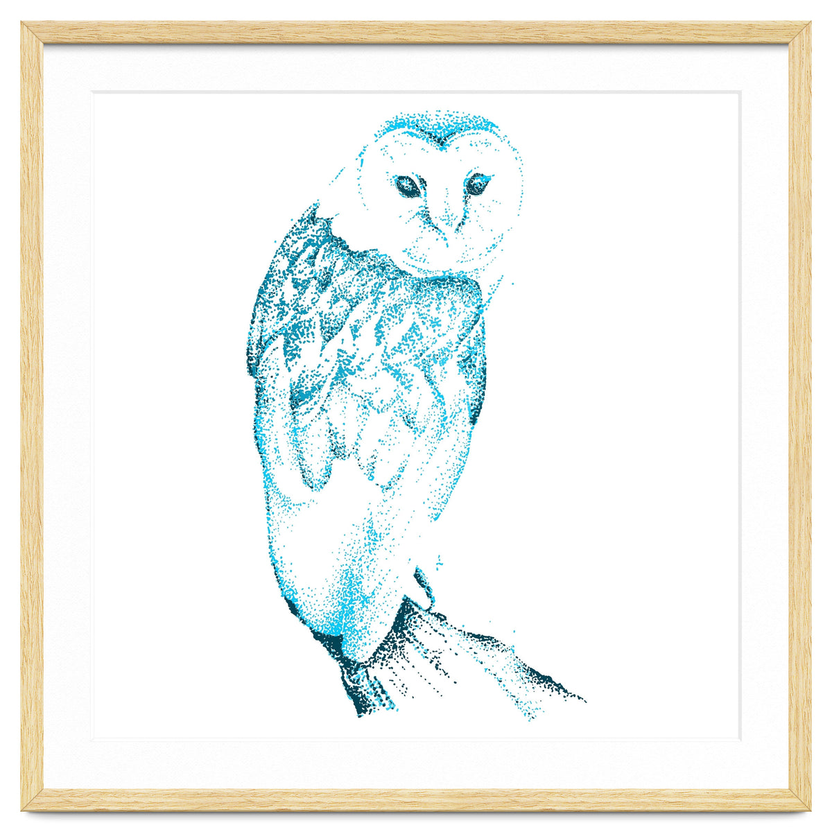 Barn Owl in Teal
