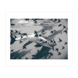 Found Out (Print Only) thumbnail