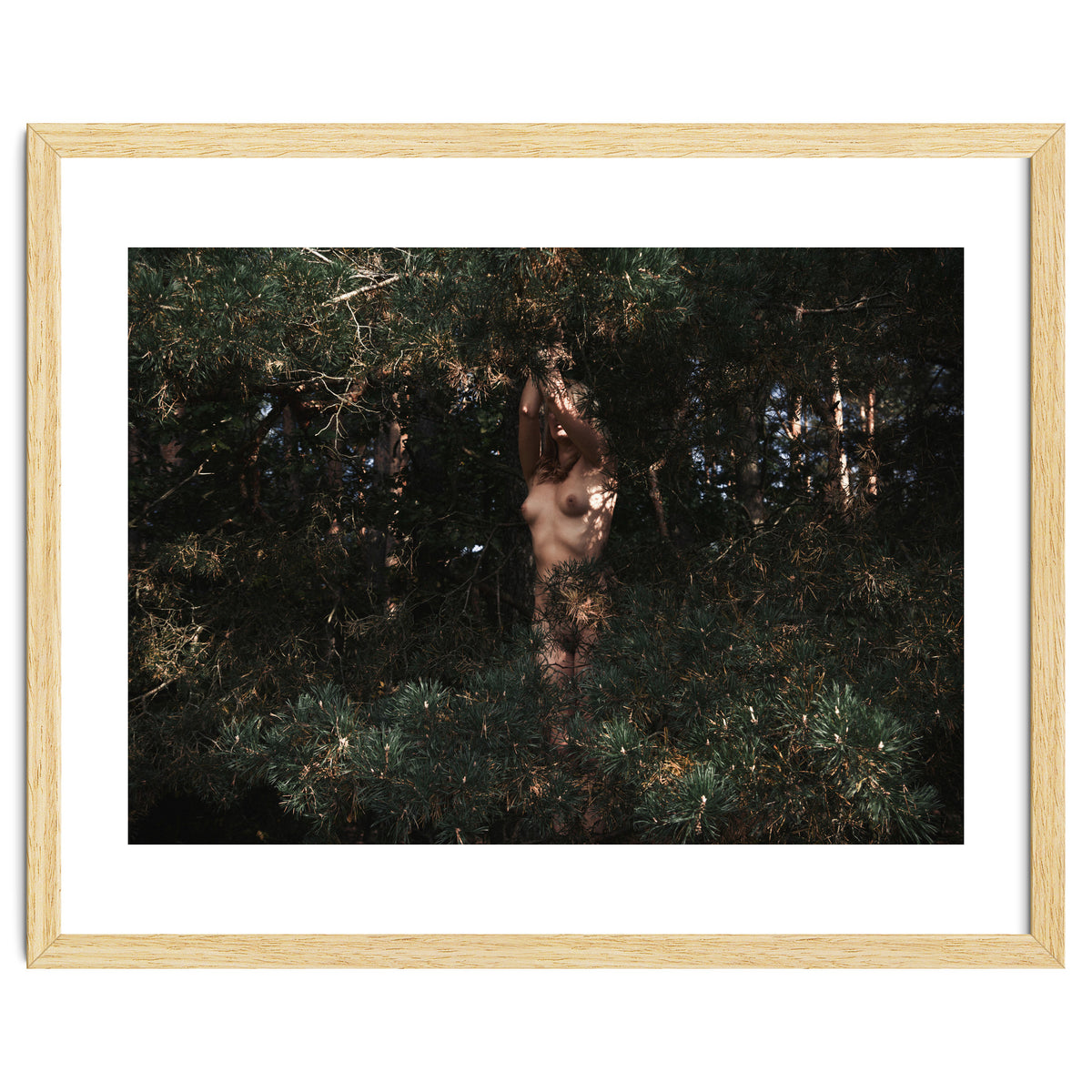 The Eyes of the Forest