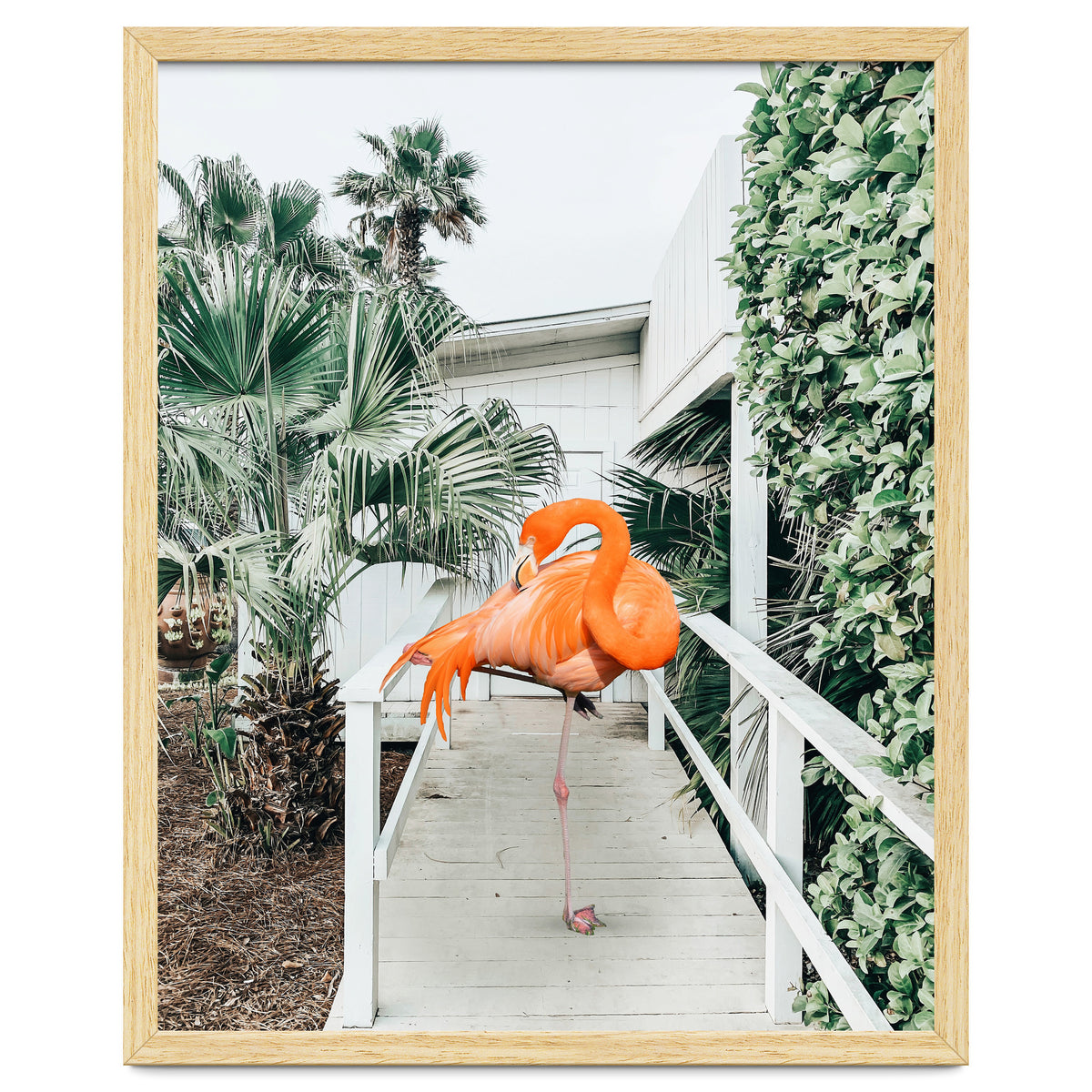 Flamingo Beach House