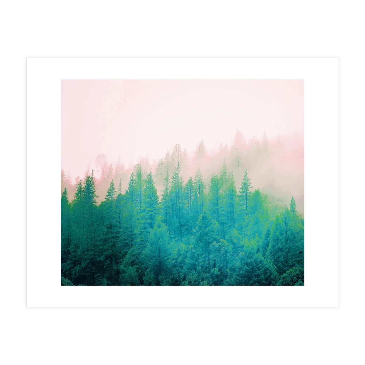 Forest Fog V2 (Print Only)